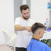 imagine profil Stefan Sandulescu