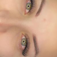 imagine profil Eyelashes by Alina 