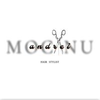 imagine profil Mocanu Andrei Concept