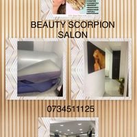 imagine profil Scorpion Salon