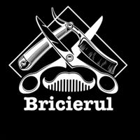 imagine profil Bricierul