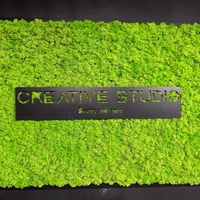 imagine profil Creative Studio 