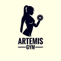 imagine profil Artemis Gym