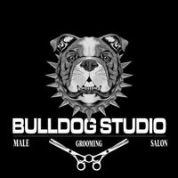 imagine profil  Bulldog Studio