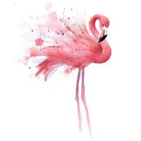 imagine profil Flamingo styling studio