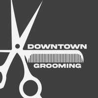 imagine profil Downtown Grooming