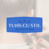 imagine profil Luminita Stroilă