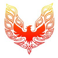imagine profil Phoenix Therapy