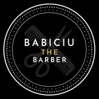 imagine profil Babiciu Rareș