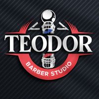 imagine profil Teodor Pirva