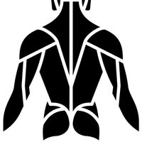 imagine profil KinetoChiro by Gabriel Liahovici