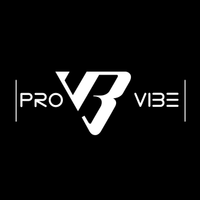 imagine profil PROVIBE - Agu Virgil (Stefan Cel Mare 190)