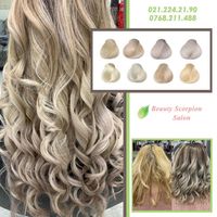 imagine profil Scorpion Salon