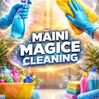 imagine profil Mâini Magice Cleaning