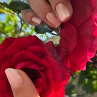 imagine profil Gina Nails Boutique