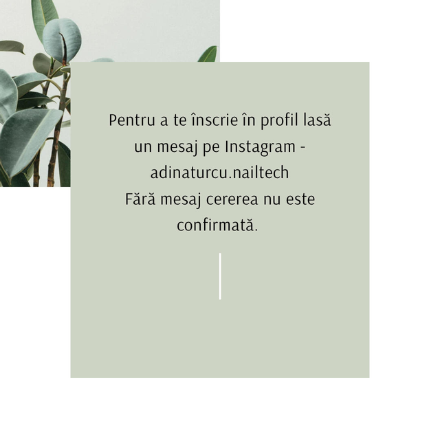 responsive image 0