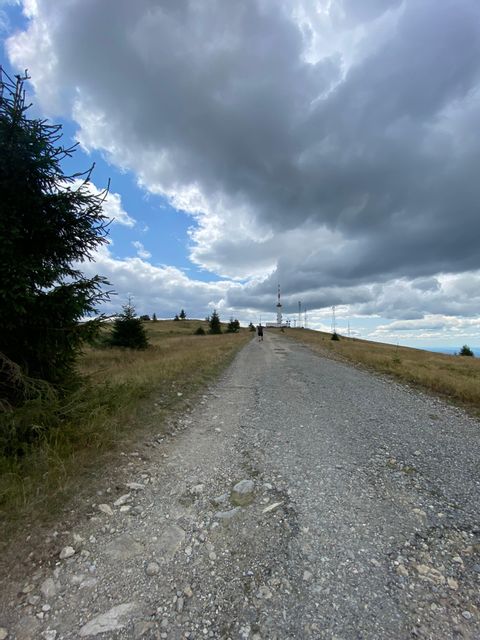 responsive image 8
