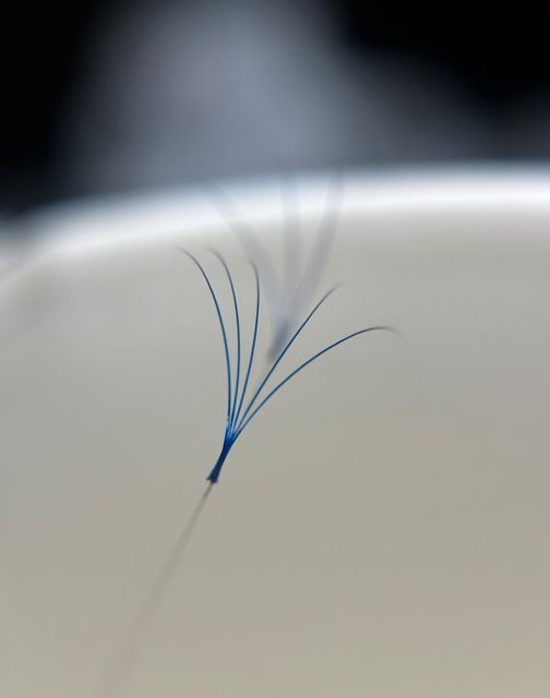 responsive image 8