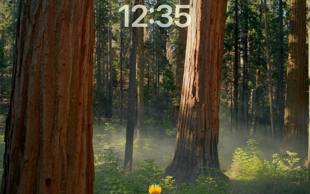 responsive image 2