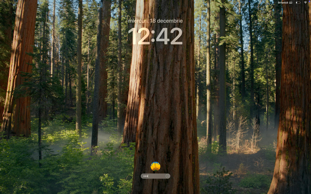 responsive image 3