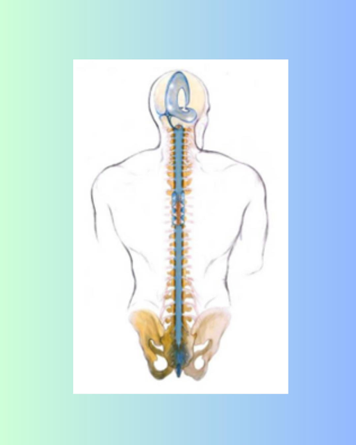 responsive image 6