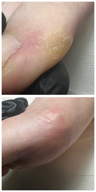 responsive image 8