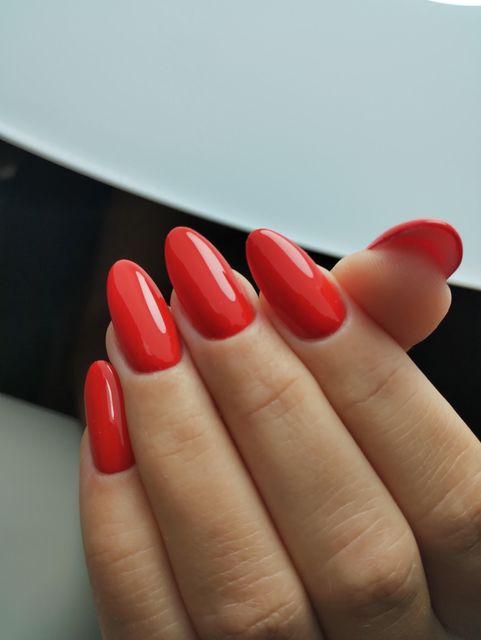 responsive image 12