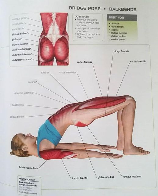 responsive image 67
