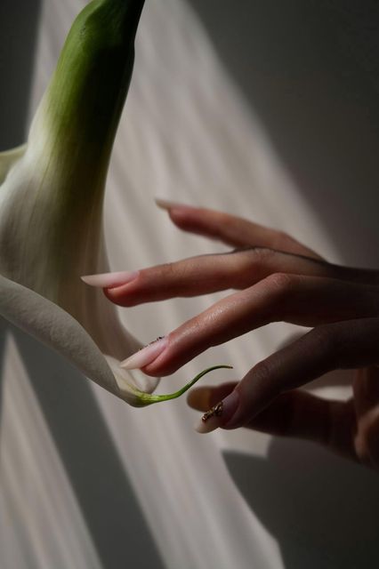 responsive image 23