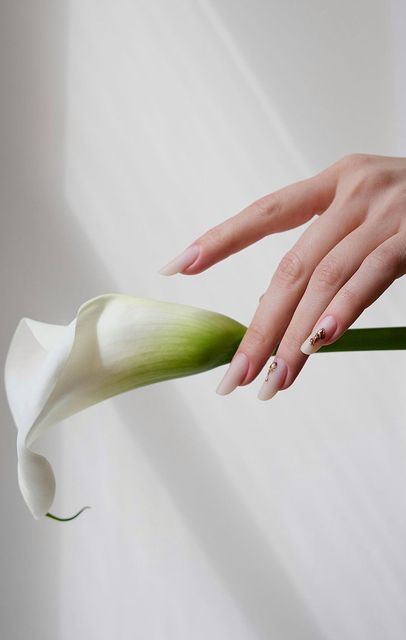 responsive image 24
