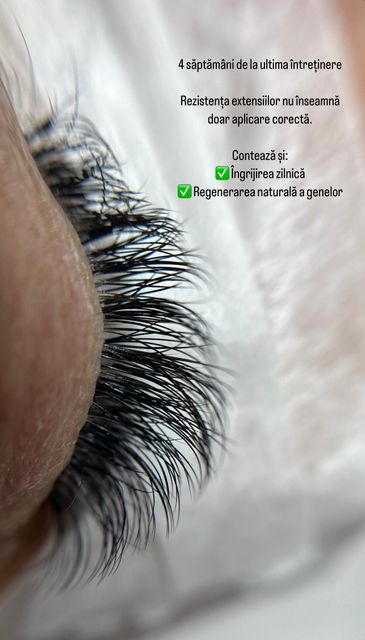 responsive image 25