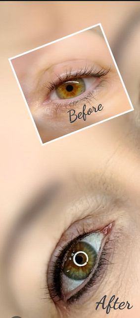 responsive image 55