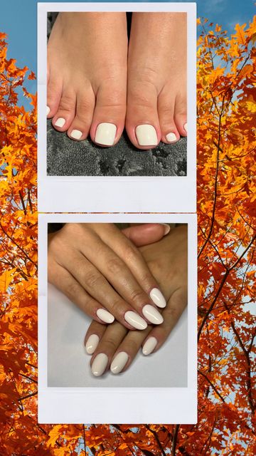 responsive image 39