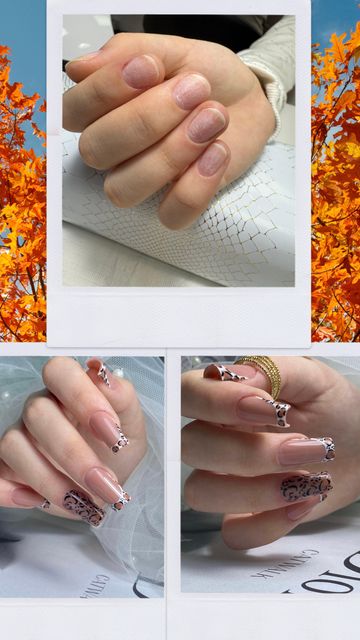 responsive image 40