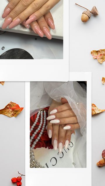 responsive image 48