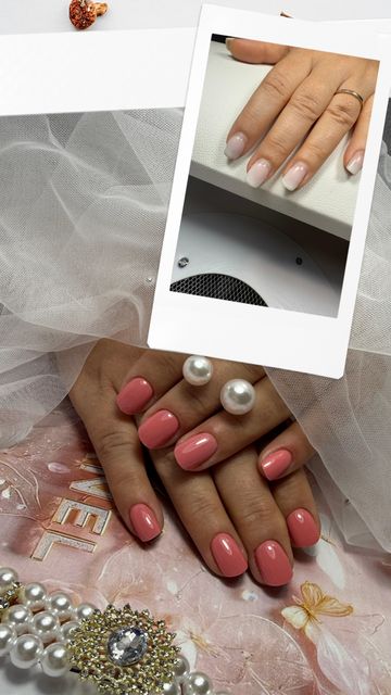 responsive image 52
