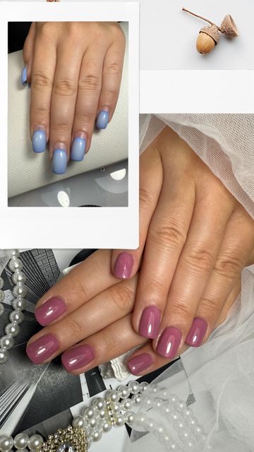 responsive image 53