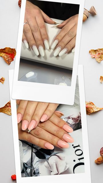 responsive image 55