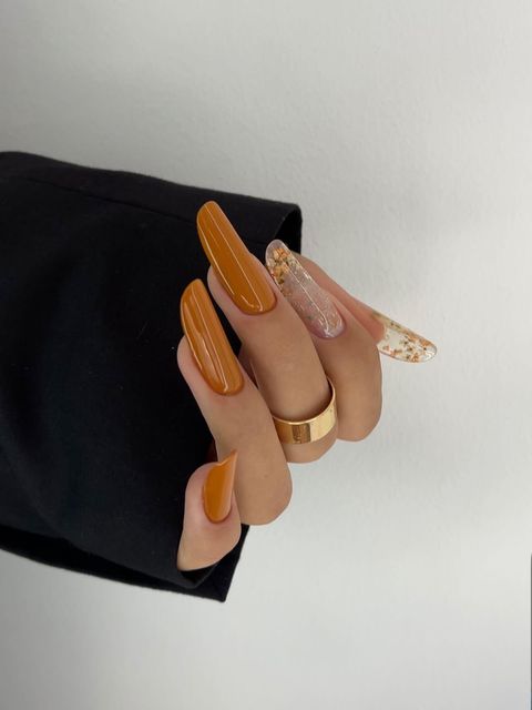 responsive image 24