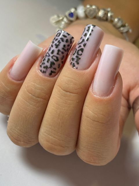 responsive image 23