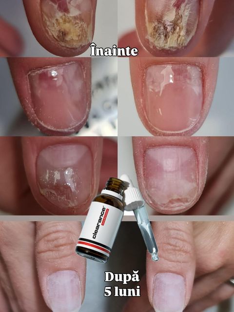 responsive image 8