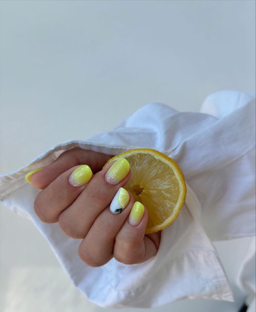 responsive image 8