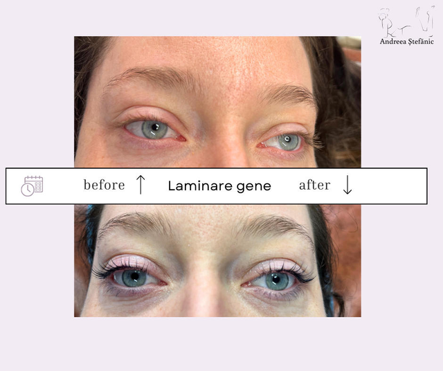 responsive image 8