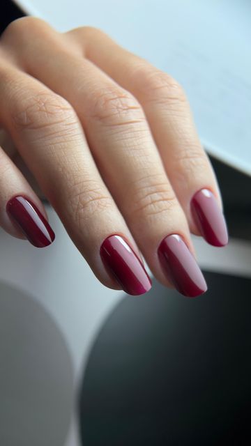 responsive image 5
