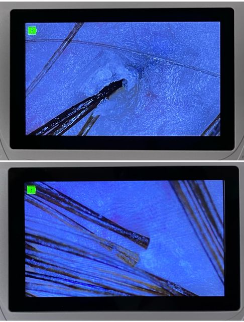 responsive image 14