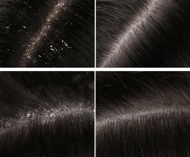 responsive image 7