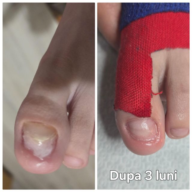 responsive image 6