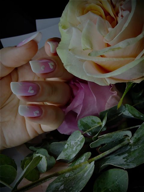 responsive image 7