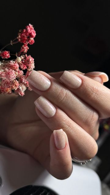 responsive image 12