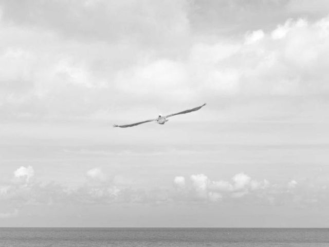responsive image 22
